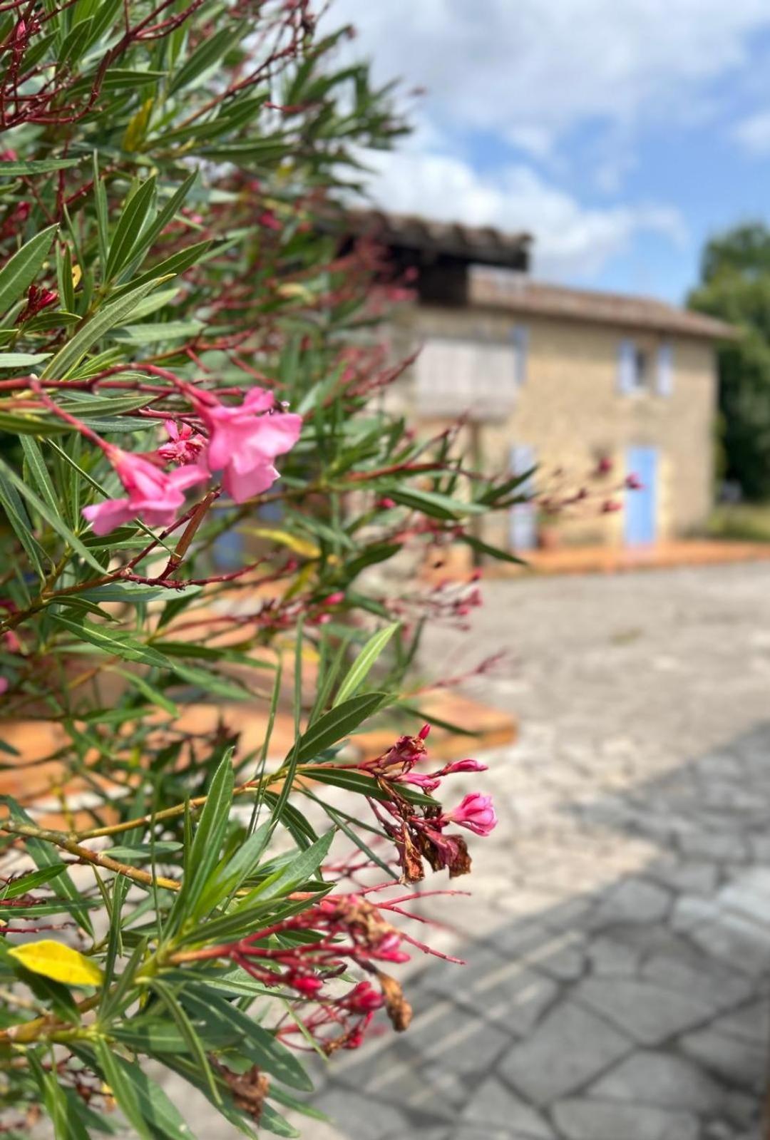 Domaine De Fontsauzine - Gites Et Chambre D'Hotes Genouille  Экстерьер фото